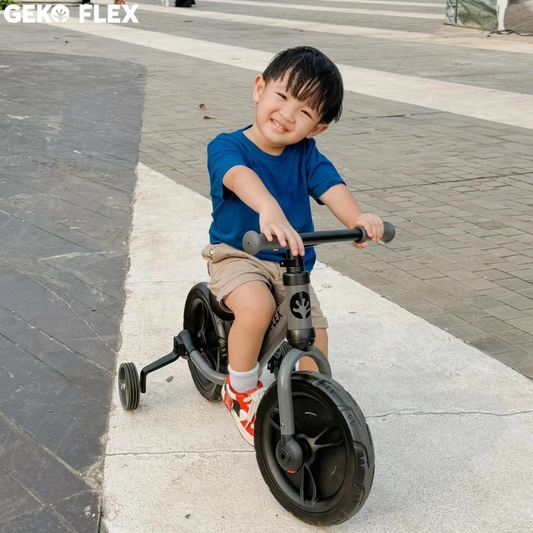 Geko Flex 6in1 Balance Bike