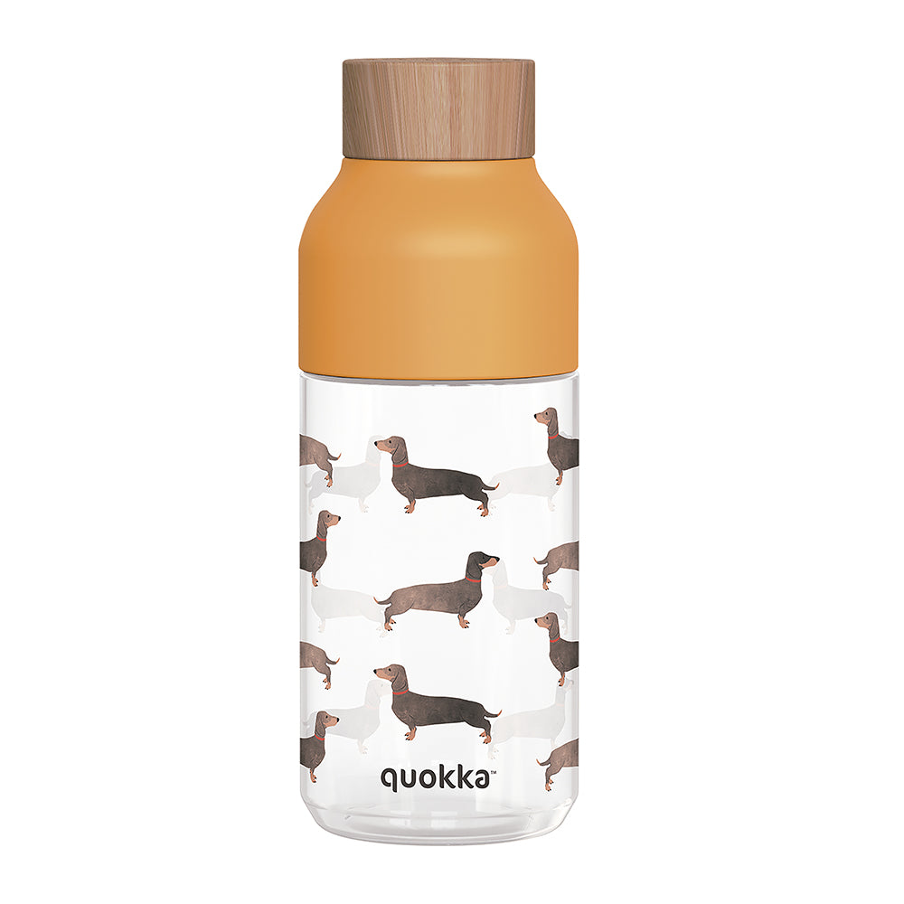 Quokka Ecozen Bottle Ice 570ml - Botol Minum Anak