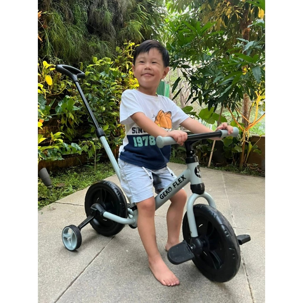 Geko Flex 6in1 Balance Bike