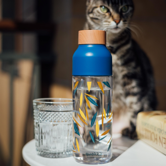 Quokka Ecozen Bottle Ice 720ml - Botol Minum Anak