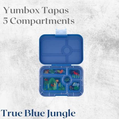 Yumbox Tapas 5C - Tempat Makan Anak Premium Anti Tumpah BPA Free